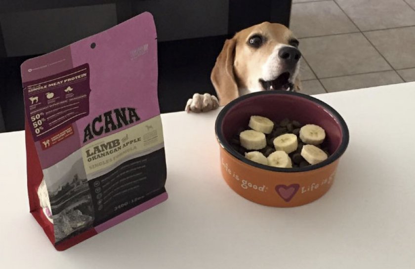 Lamb &amp; Okanagan Apple