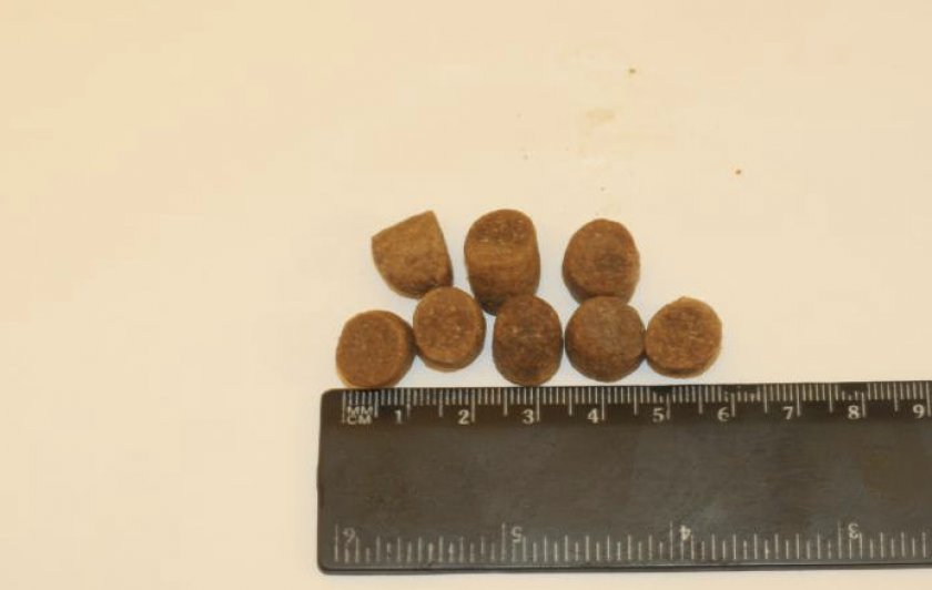 Proseries Holistic гипоаллергенный