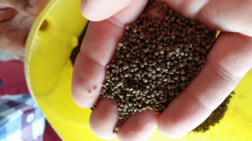 креветочные корма