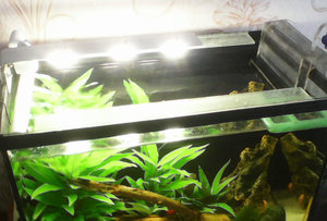 Светильник для аквариума