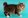 Полудлинношерстные породы кошек фото с названиями