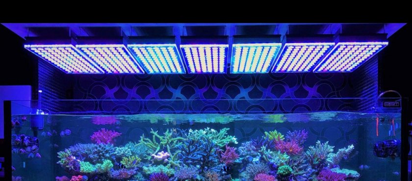 светодиодное освещение в аквариуме светодиодное освещение в аквариуме