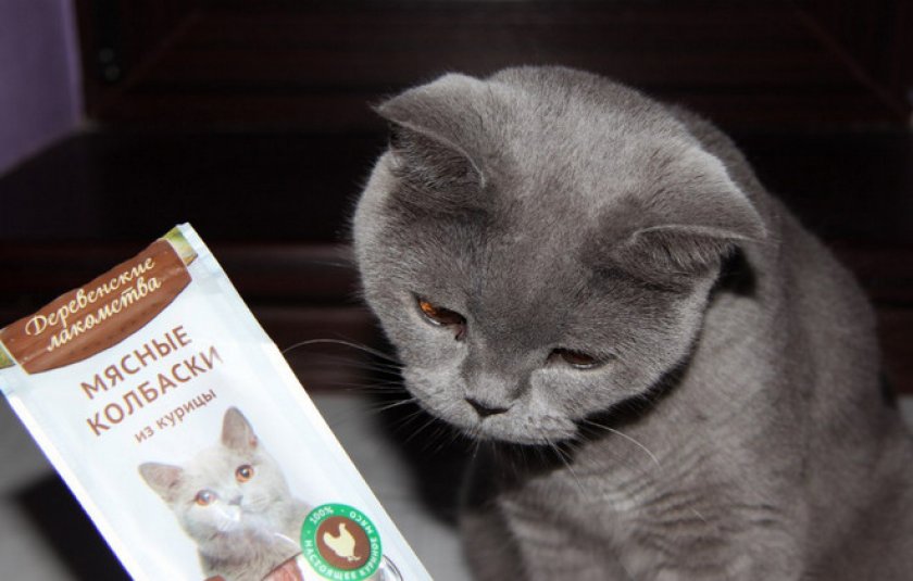 Лакомства для кошек
