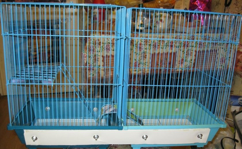 Двойная клетка для хомяков