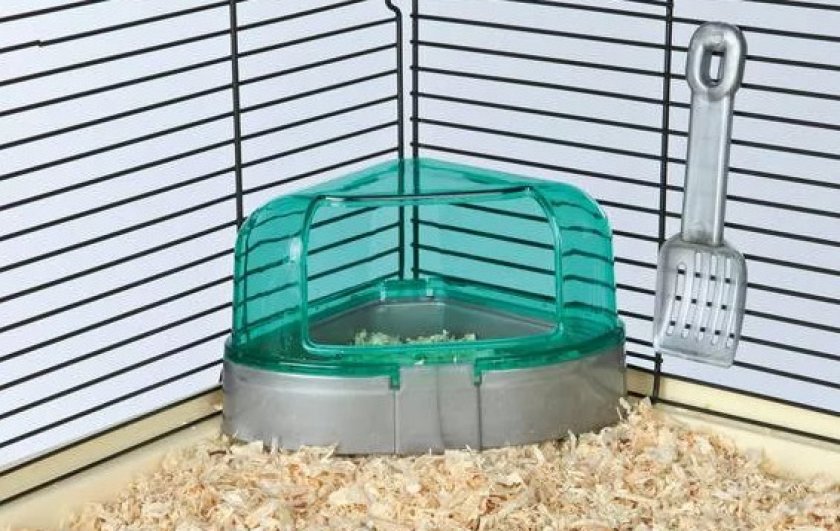 Лоток для хомяка