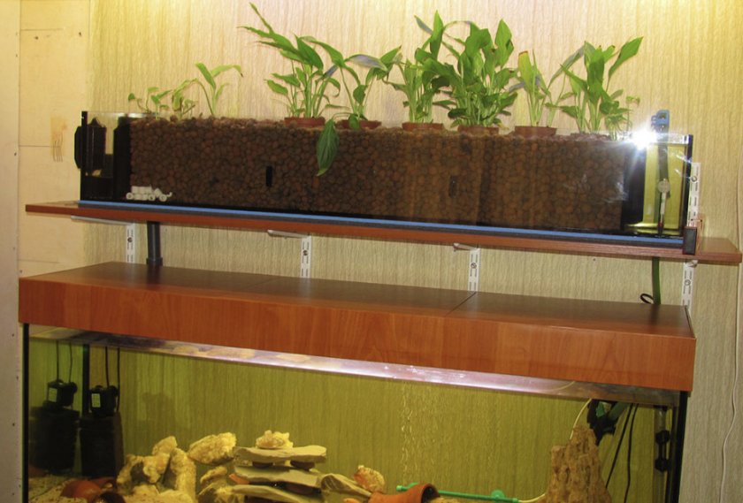 Фитофильтр