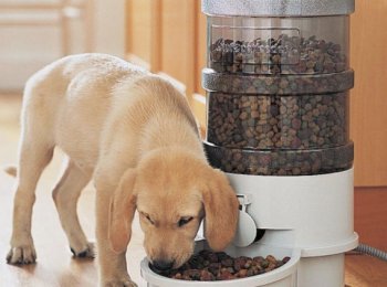Автоматическая кормушка для собак