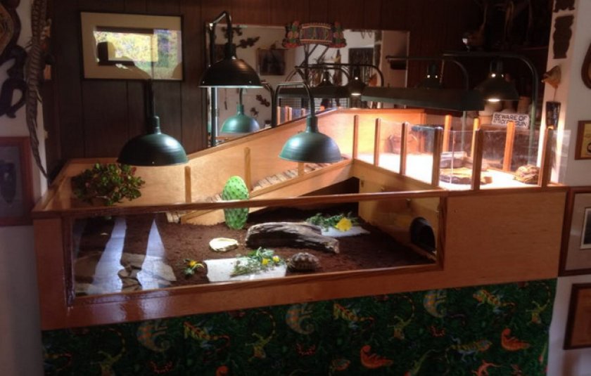 Террариум для черепахи