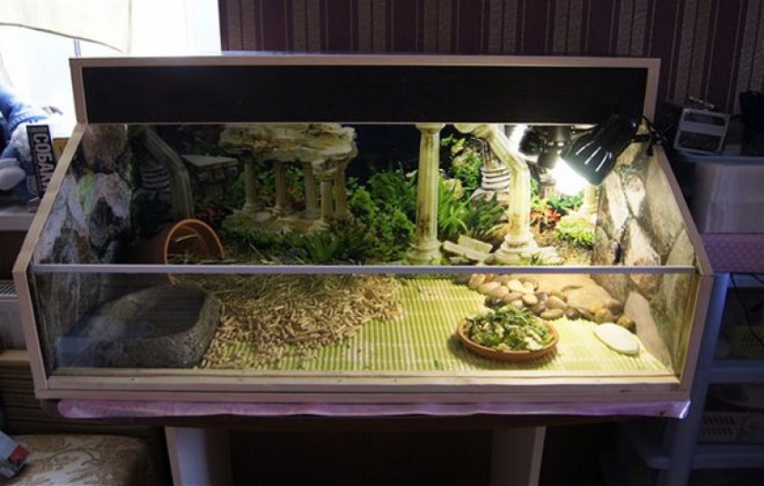 Террариум для черепахи
