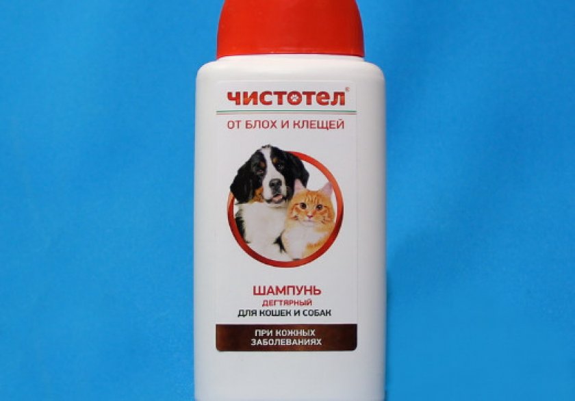 шампуни медицинского назначения