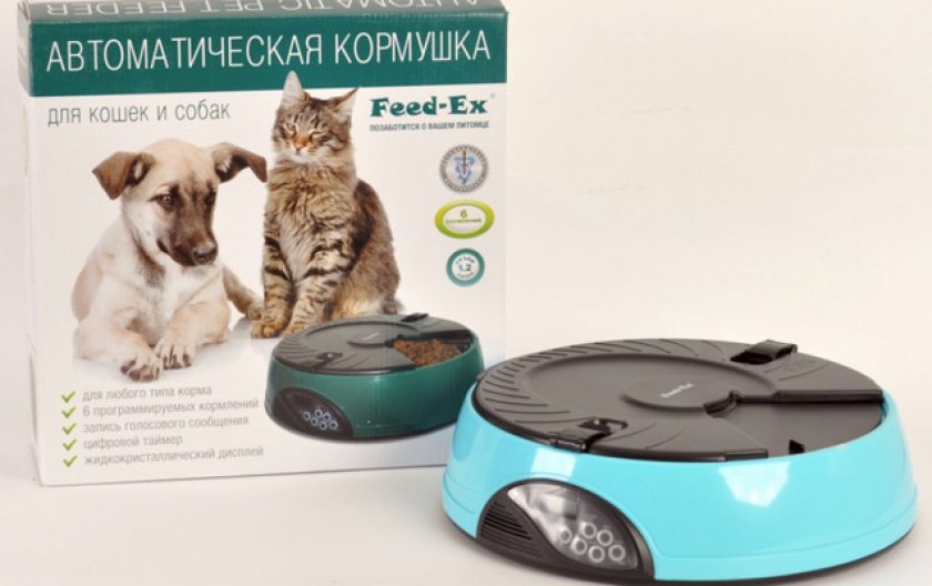 Какими бывают: виды Какими бывают: виды