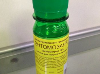 «Энтомозан-С»: лекарственное средство от паразитов