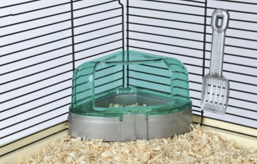 Туалет для хомяка