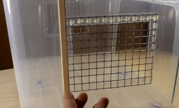 Бамбуковая рамка для окна клетки