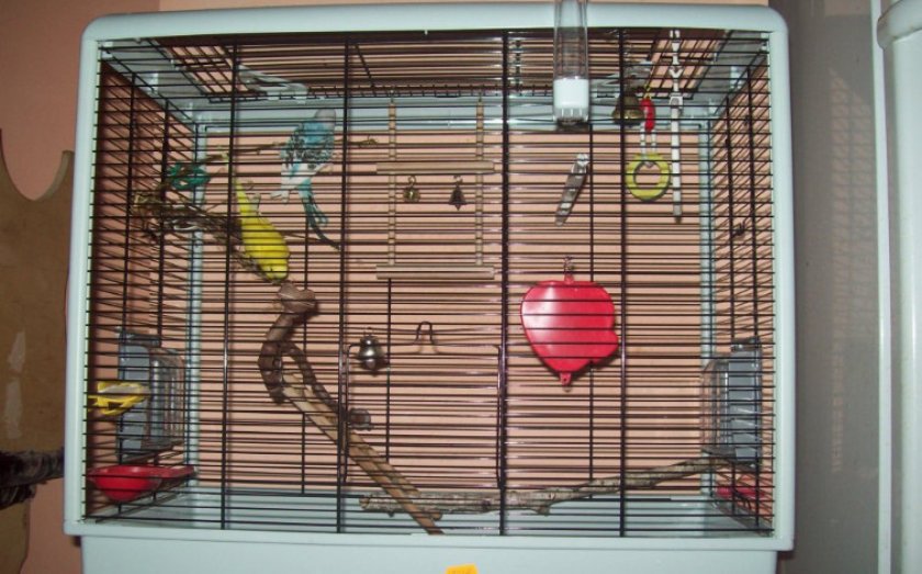 Прямоугольная клетка для попугая