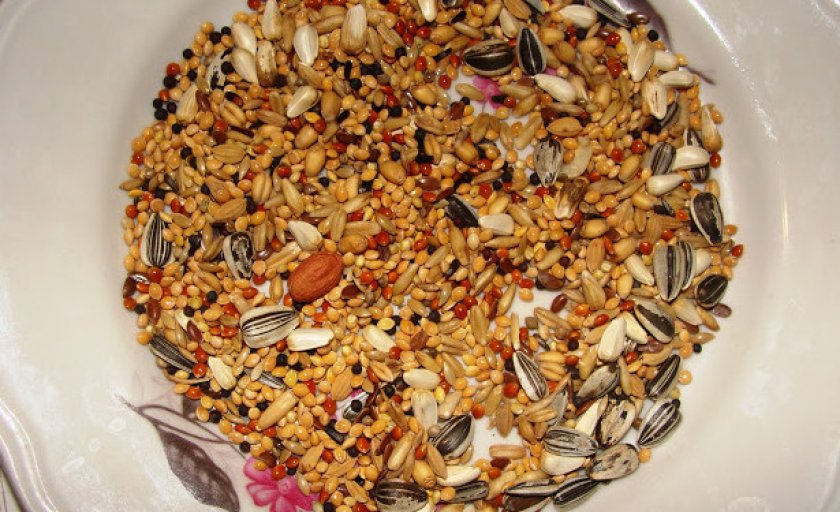 Корм для попугая