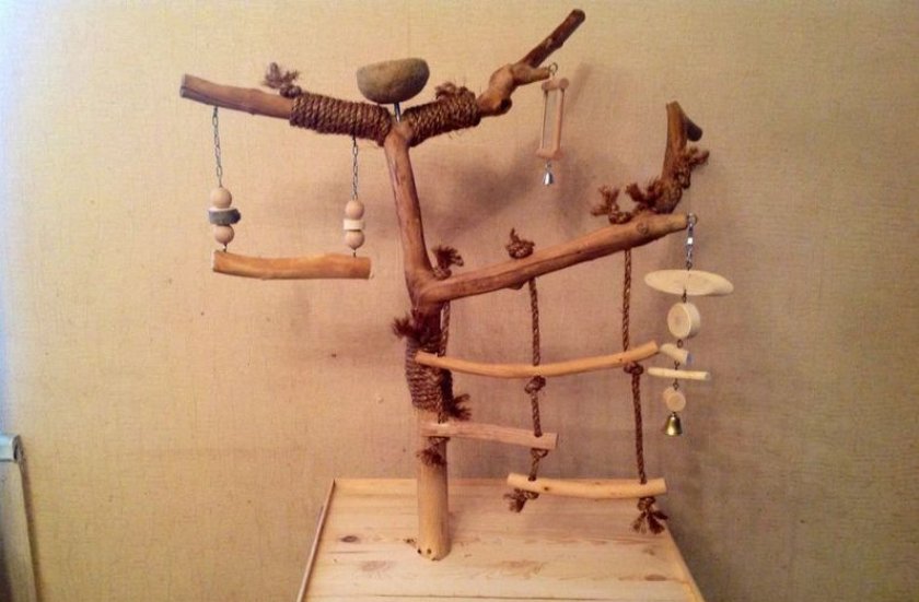 Жёрдочки для жако