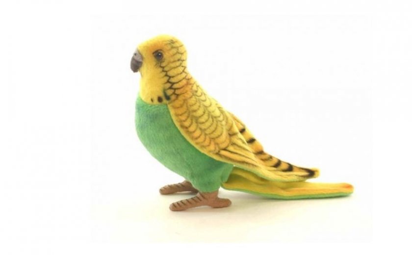 Игрушка-попугайчик для жако
