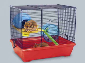 Клетки для джунгарских хомяков