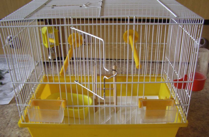 Клетка для попугая