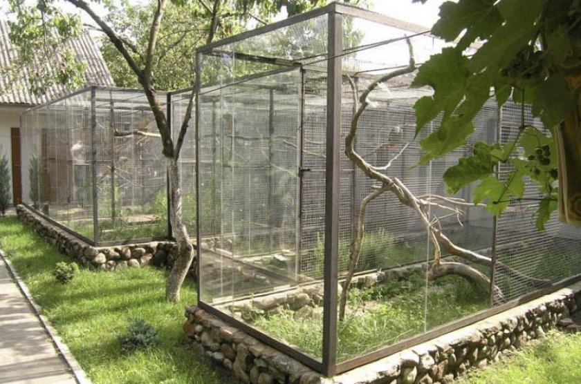 Вольер для попугаев