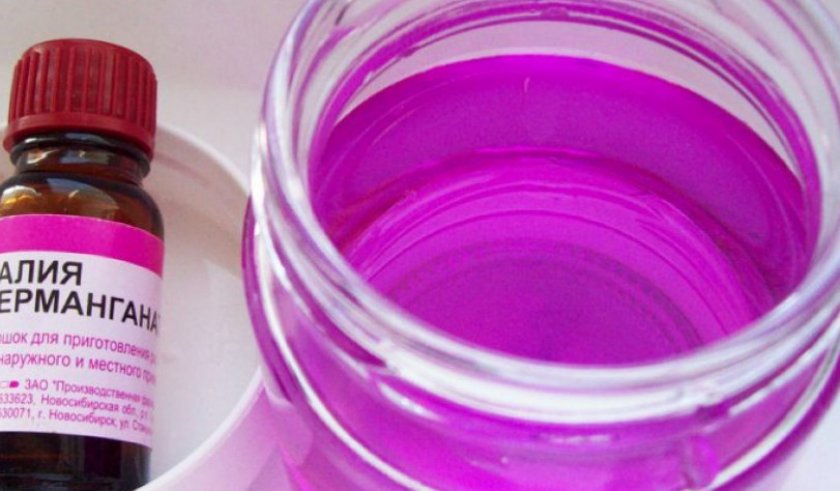 Марганцовка Марганцовка