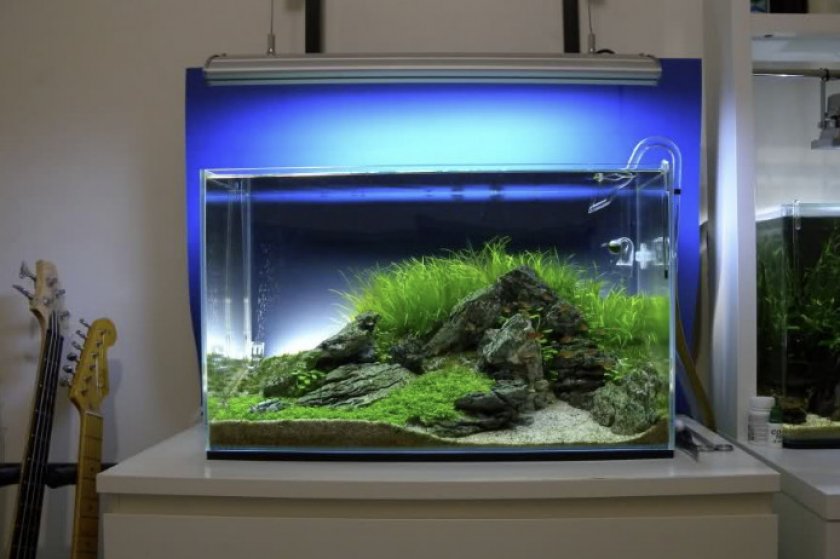 Аквариум на 40 литров