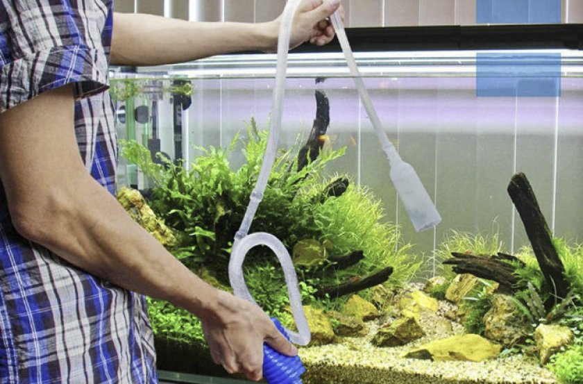 Замена воды в аквариуме