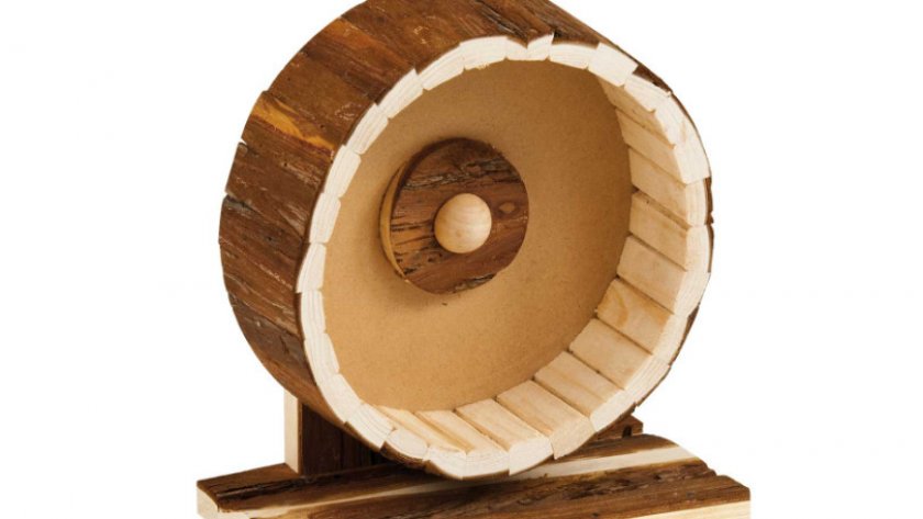 Колесо для бега