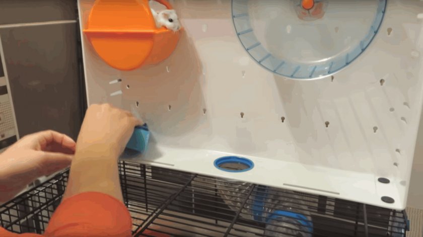 Уборка клетки хомяка