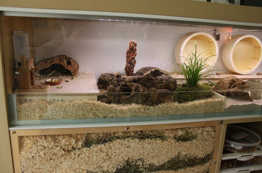 Клетка для хомячков Клетка для хомячков