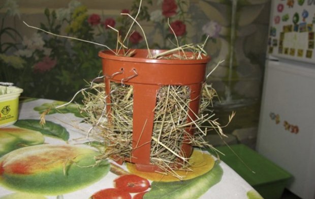 Кормушка для сена Кормушка для сена