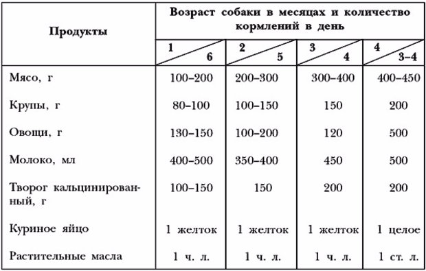 Питание Питание