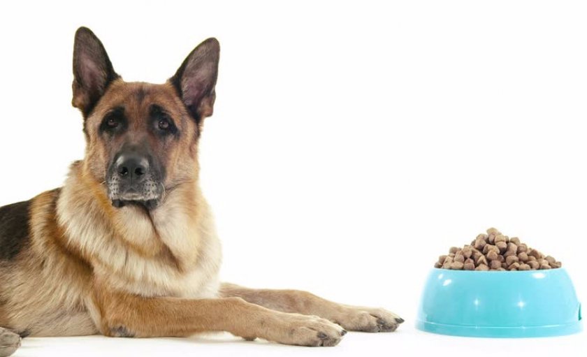 Питание Питание