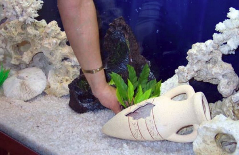 Установка декораций в аквариум