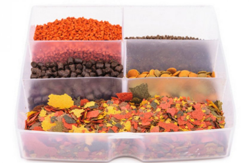 Корма для рыбок