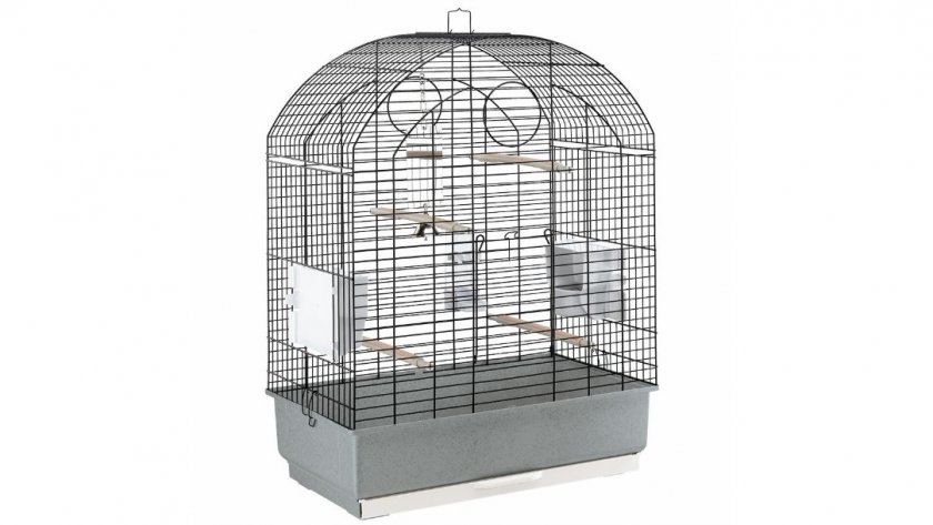 Клетка для средних попугаев