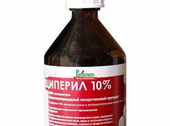 Как разводить «Циперил» для собак и кошек?