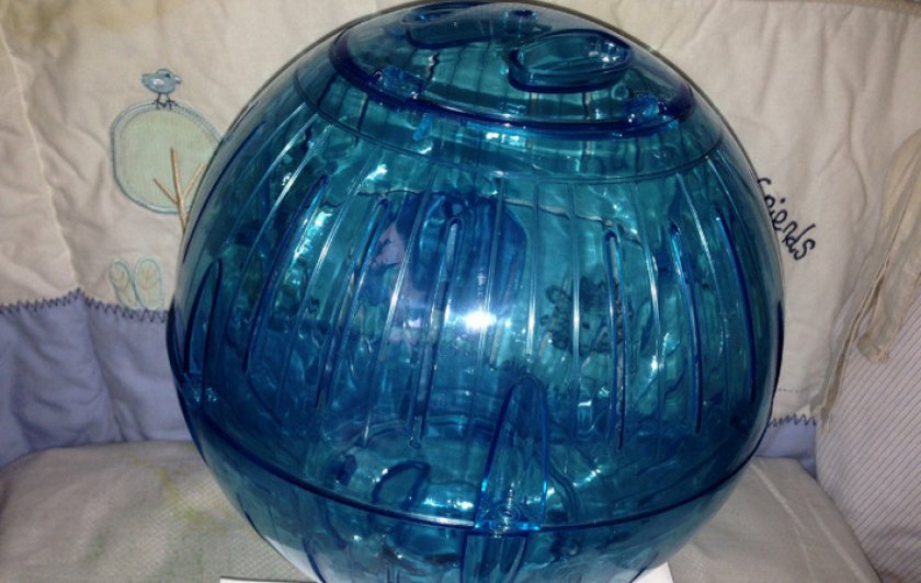 Прогулочный шар