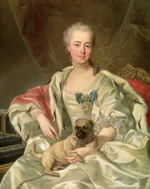 Княгиня Е. Д. Голицына с мопсом, 1759 Княгиня Е. Д. Голицына с мопсом, 1759