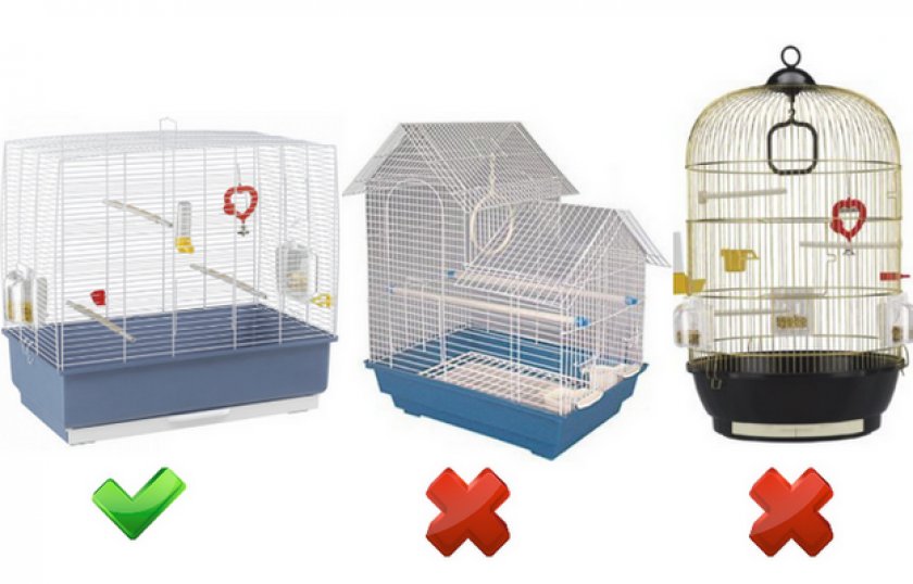 Клетка для попугая: какую лучше купить