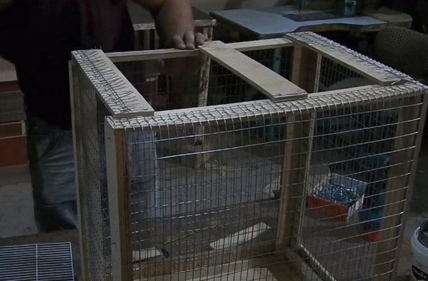 Изготовление клетки для попугаев Изготовление клетки для попугаев