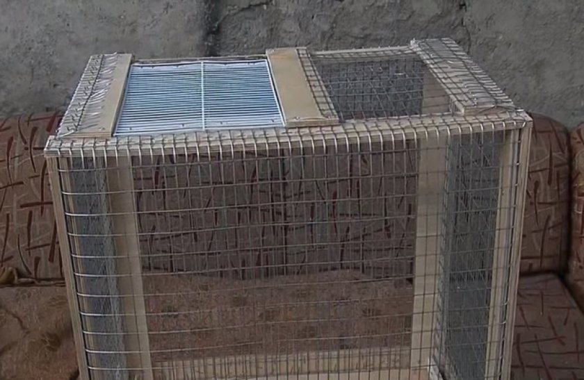 Изготовление клетки для попугаев Изготовление клетки для попугаев