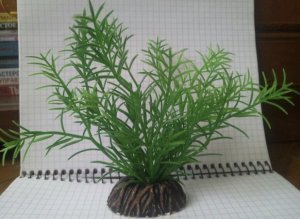 Искусственные растения