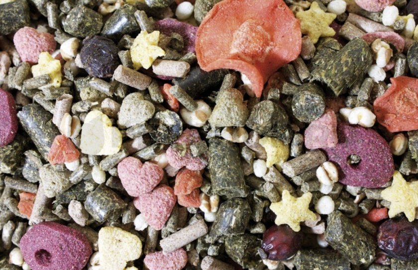 Корм для шиншилл