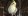 Попугай корелла лютино