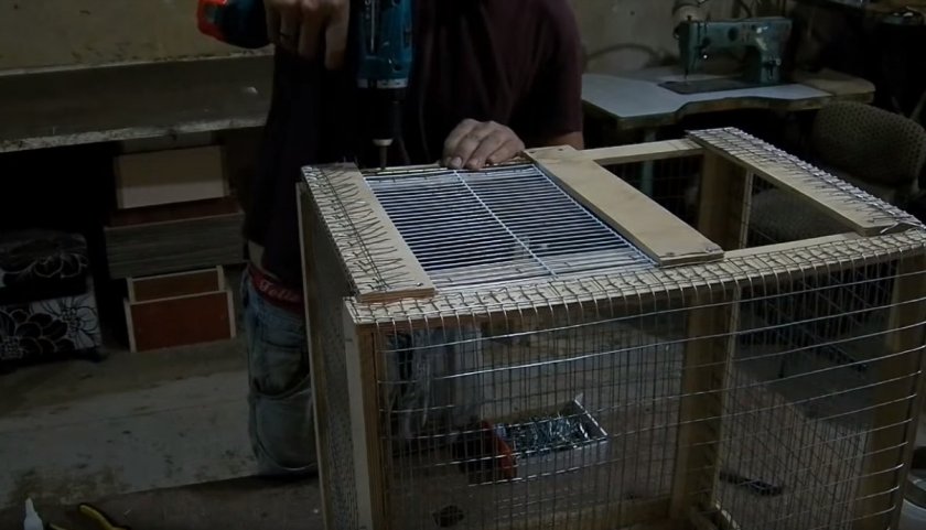 Клетка для кореллы своими руками Клетка для кореллы своими руками