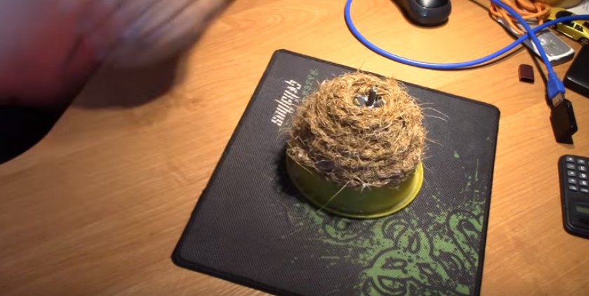 Гнездо высыхает Гнездо высыхает