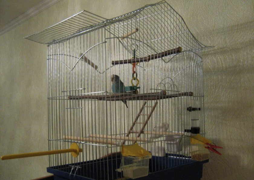 Клетка для волнистых попугаев