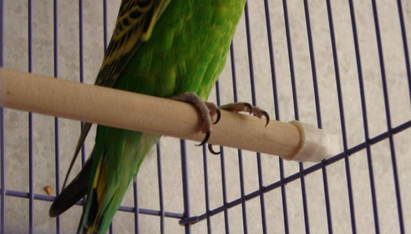 Жёрдочки-насадки с напылением песка